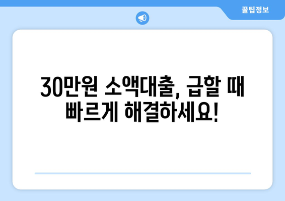 서울특별시 강동구 성내동 주부 소액 30만원 대출