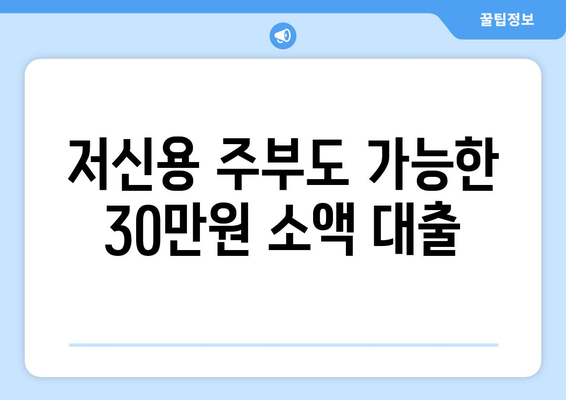 서울특별시 은평구 신사동 주부 소액 30만원 대출