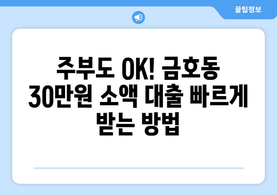 광주광역시 서구 금호동 주부 소액 30만원 대출