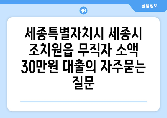 세종특별자치시 세종시 조치원읍 무직자 소액 30만원 대출