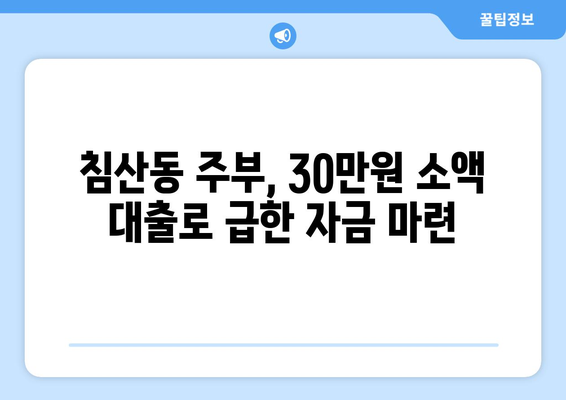 부산광역시 북구 침산동 주부 소액 30만원 대출