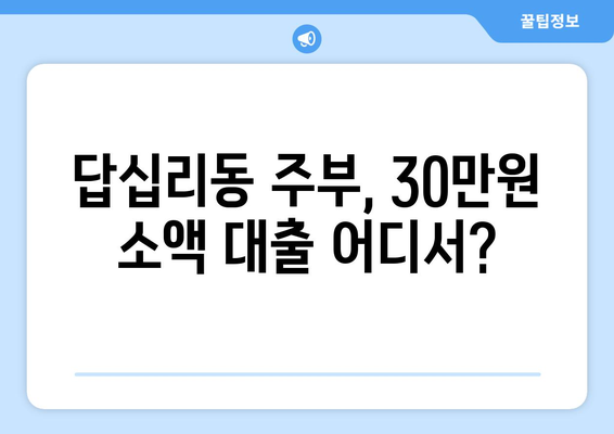 서울특별시 동대문구 답십리동 주부 소액 30만원 대출