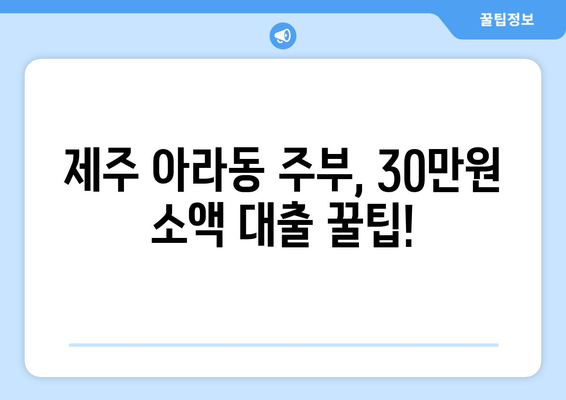 제주특별자치도 제주시 아라동 주부 소액 30만원 대출