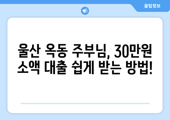 울산광역시 남구 옥동 주부 소액 30만원 대출