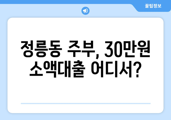 서울특별시 성북구 정릉동 주부 소액 30만원 대출