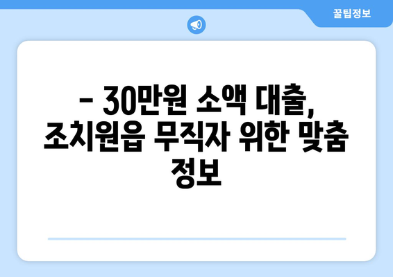 세종특별자치시 세종시 조치원읍 무직자 소액 30만원 대출