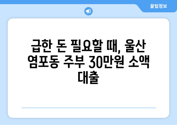 울산광역시 북구 염포동 주부 소액 30만원 대출