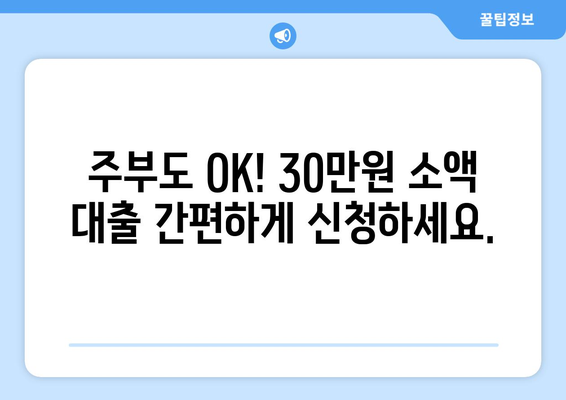 강원도 춘천시 후평동 주부 소액 30만원 대출