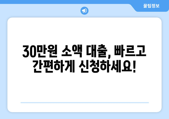 대전광역시 대덕구 송촌동 주부 소액 30만원 대출