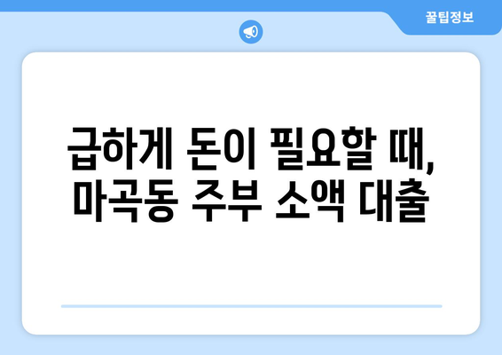 서울특별시 강서구 마곡동 주부 소액 30만원 대출