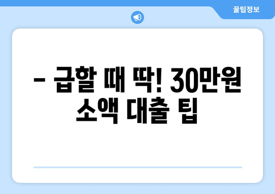 서울특별시 중구 필동 주부 소액 30만원 대출