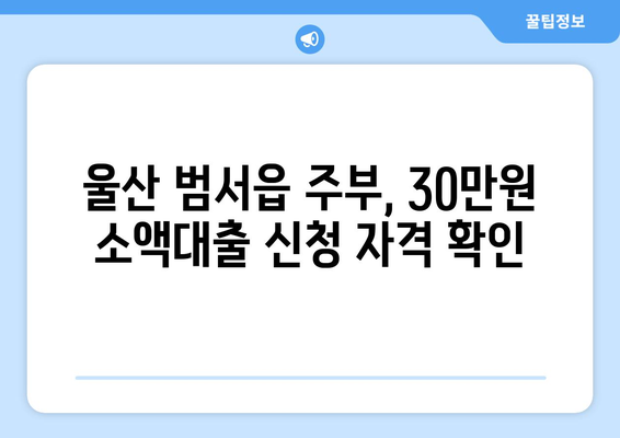 울산광역시 울주군 범서읍 주부 소액 30만원 대출