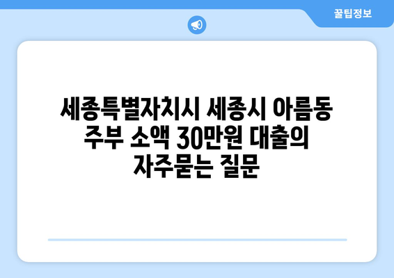 세종특별자치시 세종시 아름동 주부 소액 30만원 대출