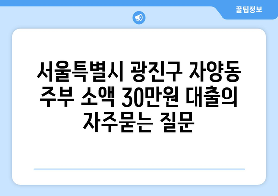 서울특별시 광진구 자양동 주부 소액 30만원 대출