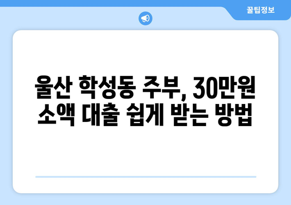 울산광역시 중구 학성동 주부 소액 30만원 대출