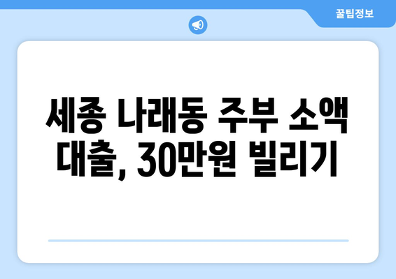 세종특별자치시 나래동 주부 소액 30만원 대출