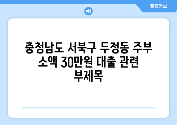 충청남도 서북구 두정동 주부 소액 30만원 대출