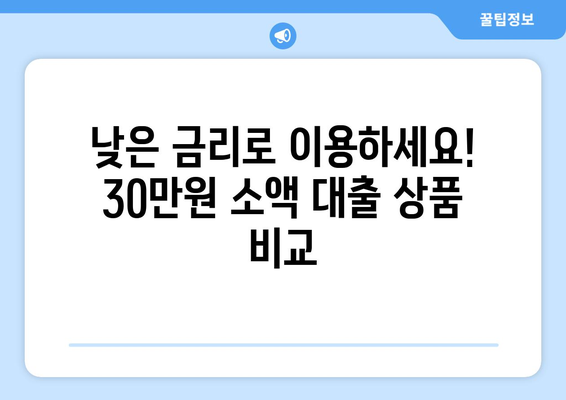 서울특별시 동대문구 장안동 주부 소액 30만원 대출