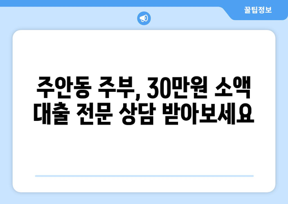 인천광역시 남구 주안동 주부 소액 30만원 대출