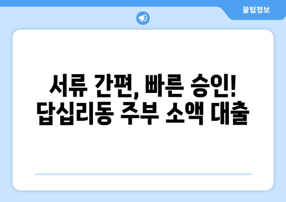 서울특별시 동대문구 답십리동 주부 소액 30만원 대출