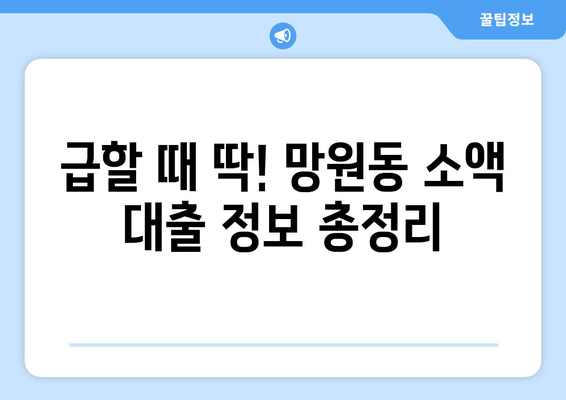 서울특별시 마포구 망원동 무직자 소액 30만원 대출