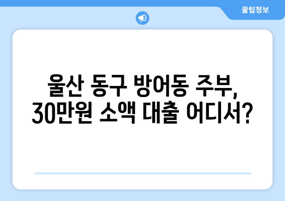 울산광역시 동구 방어동 주부 소액 30만원 대출