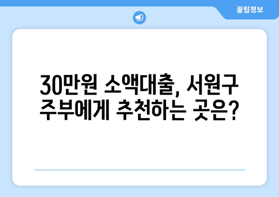 충청북도 서원구 사직동 주부 소액 30만원 대출