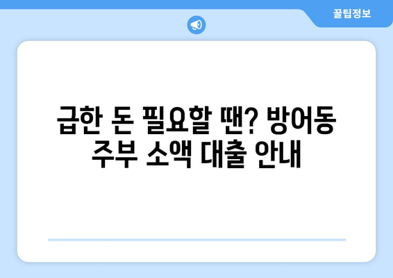 울산광역시 동구 방어동 주부 소액 30만원 대출