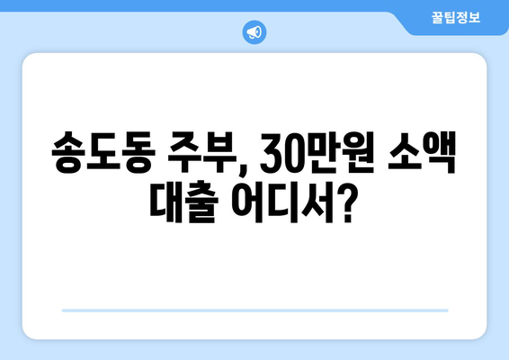 인천광역시 연수구 송도동 주부 소액 30만원 대출