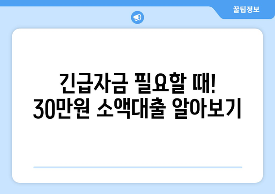 충청북도 서원구 사직동 무직자 소액 30만원 대출