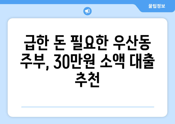 광주광역시 광산구 우산동 주부 소액 30만원 대출