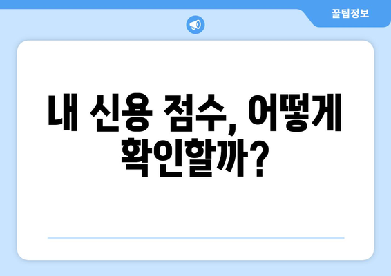 대출 신청 전 신용 점수 확인 방법