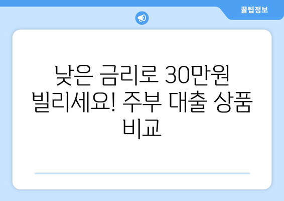 세종특별자치시 나래동 주부 소액 30만원 대출