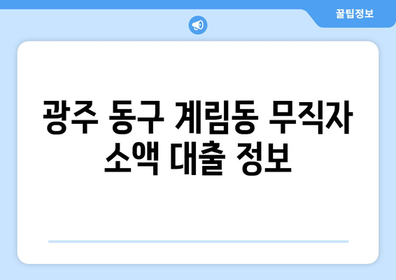 광주광역시 동구 계림동 무직자 소액 30만원 대출