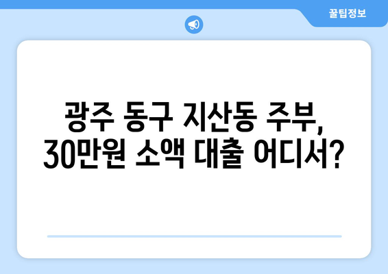 광주광역시 동구 지산동 주부 소액 30만원 대출