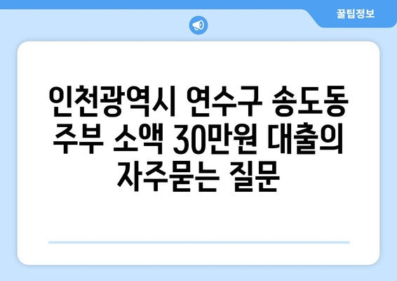 인천광역시 연수구 송도동 주부 소액 30만원 대출