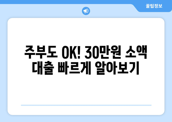 인천광역시 서구 가정동 주부 소액 30만원 대출