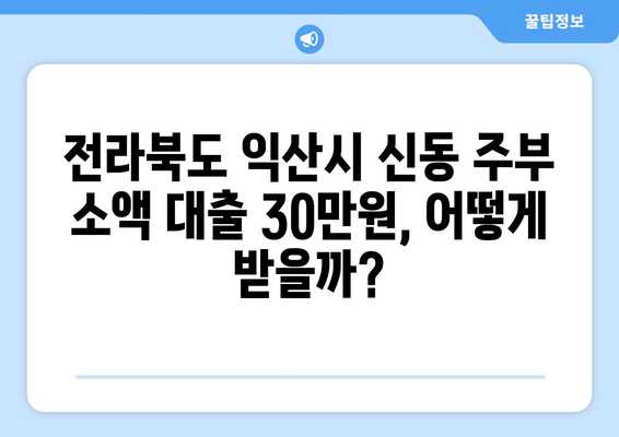 전라북도 익산시 신동 주부 소액 30만원 대출