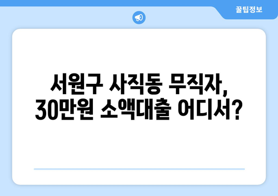 충청북도 서원구 사직동 무직자 소액 30만원 대출