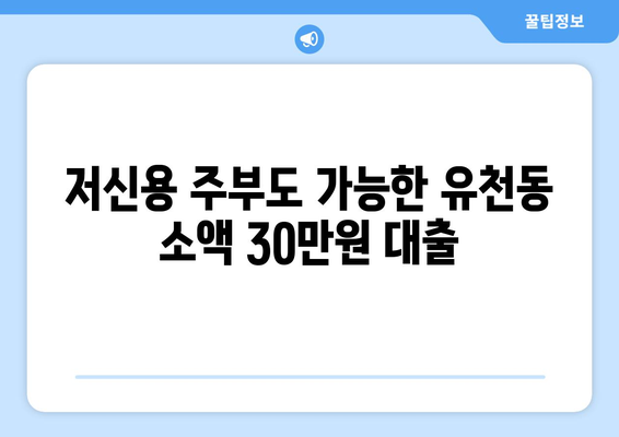 대전광역시 중구 유천동 주부 소액 30만원 대출