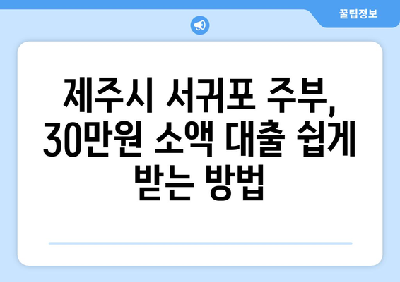 제주특별자치도 제주시 서귀포 주부 소액 30만원 대출