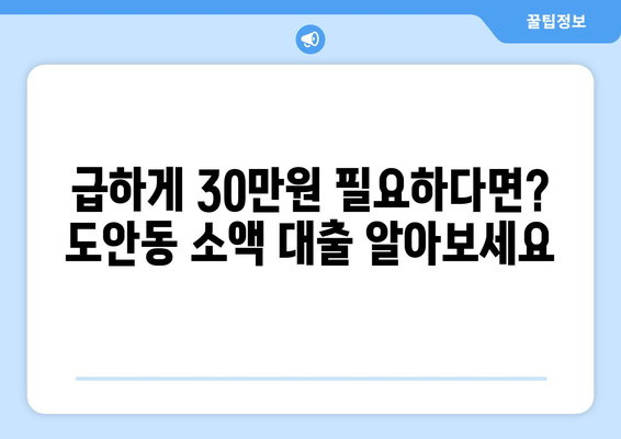 대전광역시 서구 도안동 무직자 소액 30만원 대출