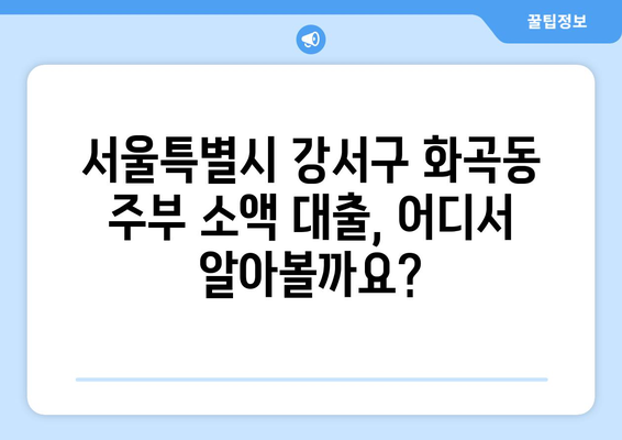 서울특별시 강서구 화곡동 주부 소액 30만원 대출