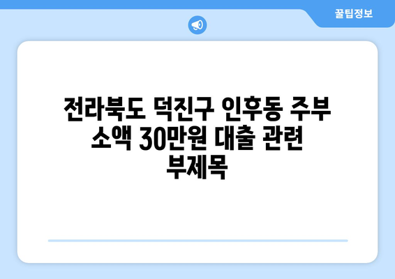 전라북도 덕진구 인후동 주부 소액 30만원 대출