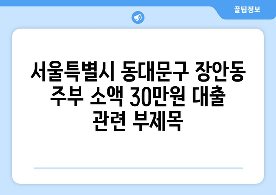 서울특별시 동대문구 장안동 주부 소액 30만원 대출