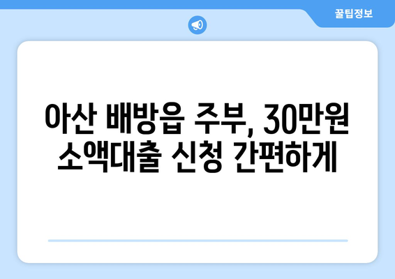 충청남도 아산시 배방읍 주부 소액 30만원 대출