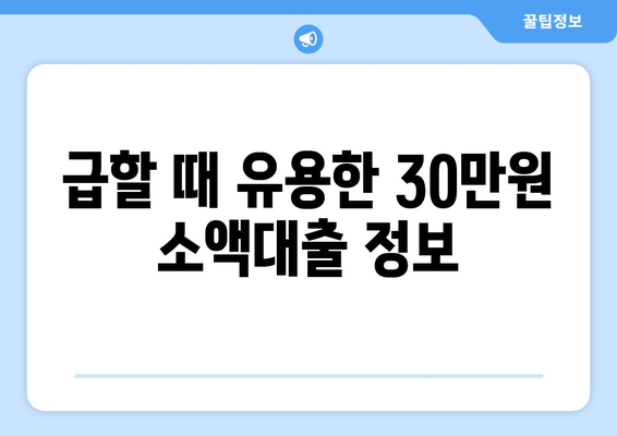 울산광역시 울주군 언양읍 주부 소액 30만원 대출