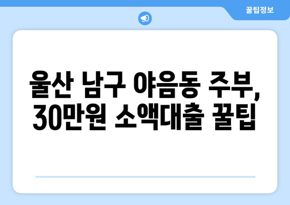 울산광역시 남구 야음동 주부 소액 30만원 대출