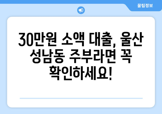 울산광역시 중구 성남동 주부 소액 30만원 대출