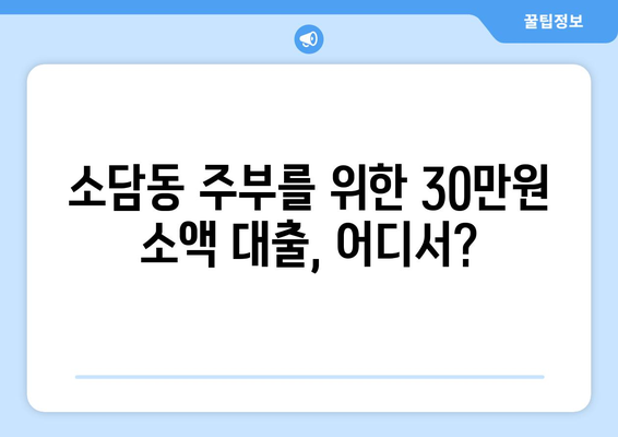 세종특별자치시 소담동 주부 소액 30만원 대출